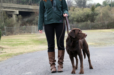 ColsenKeane No. 116 Dog Leash | 8/9oz Full Grain Leather | 3-in-1 Hands-Free Multi-Mode Lead
