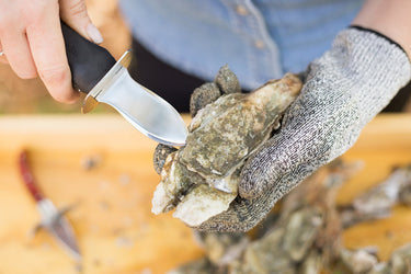 Person wearing a glove and using the oyster shucker knife to open an oyster. 