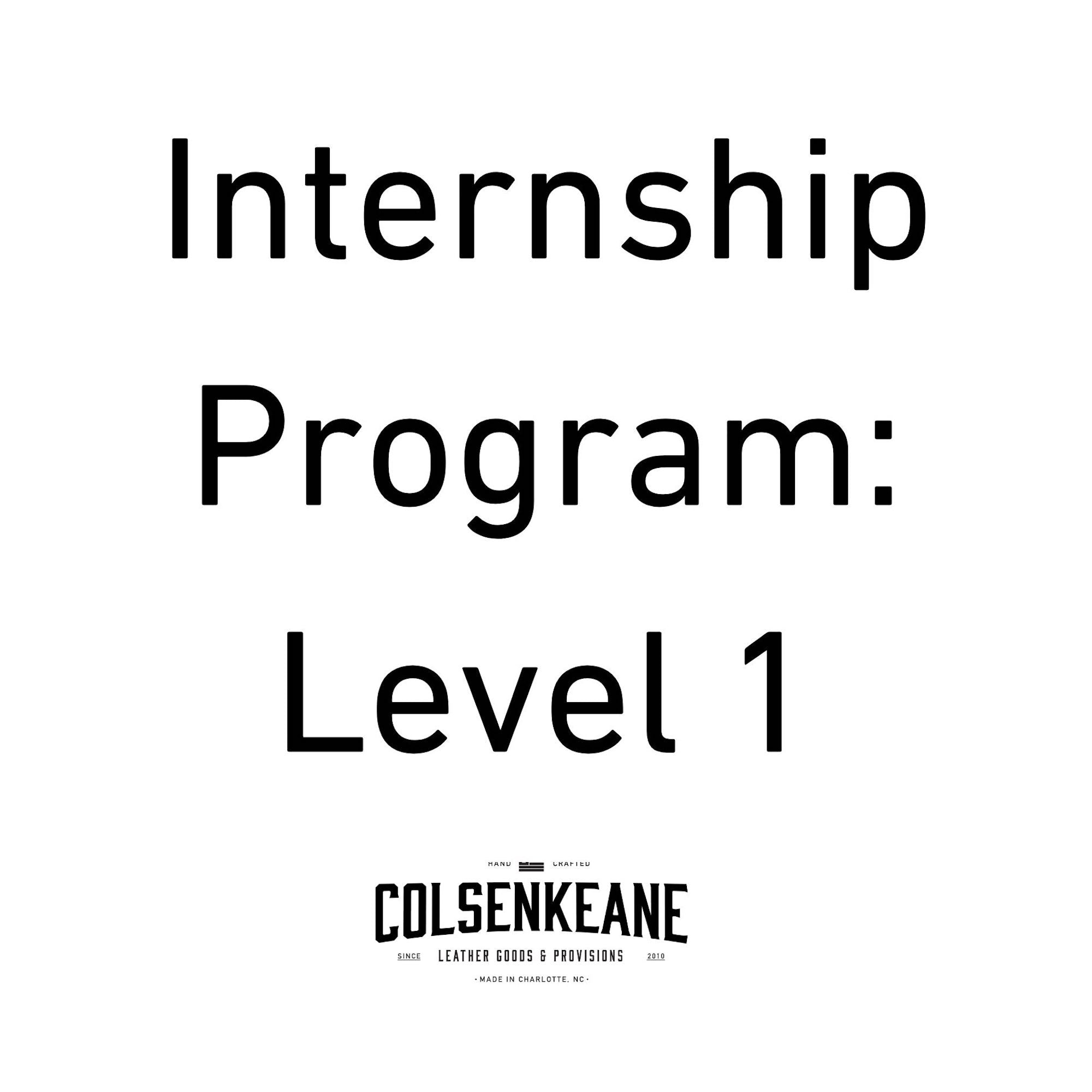 Internship Program, Level 1