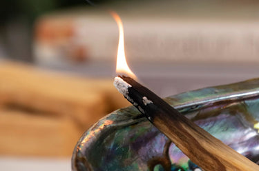 Palo Santo Smudge Sticks in Box